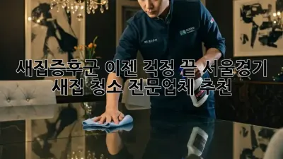 새집증후군, 이젠 걱정 끝! 서울/경기 새집 청소 전문업체 추천